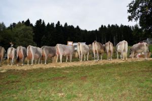 Stimmungsbild Betriebsprsentation